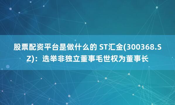 股票配资平台是做什么的 ST汇金(300368.SZ)：选举非独立董事毛世权为董事长