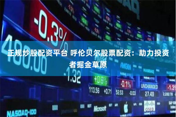 正规炒股配资平台 呼伦贝尔股票配资：助力投资者掘金草原