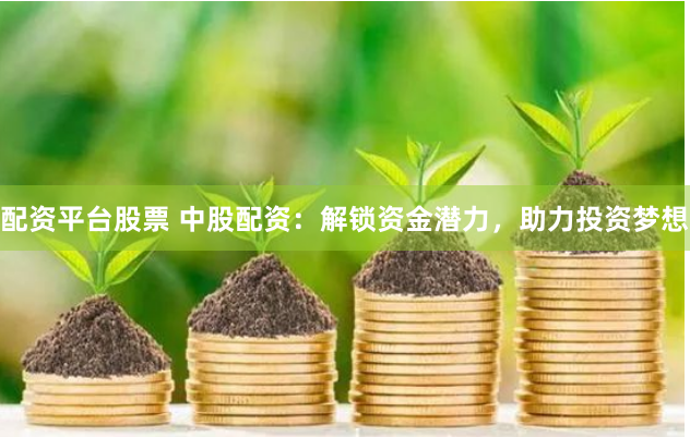 配资平台股票 中股配资:解锁资金潜力,助力投资梦想