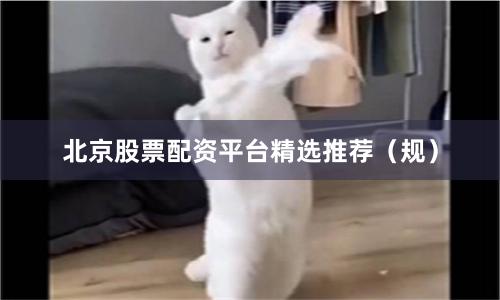 北京股票配资平台精选推荐（规）